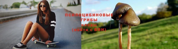 гидра Алексин