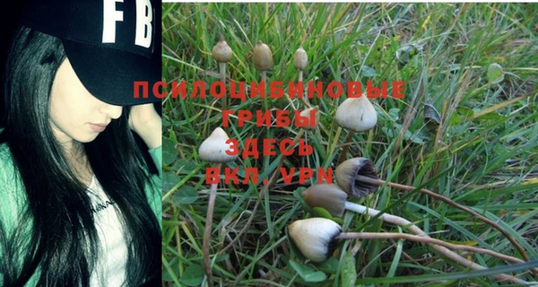 ПСИЛОЦИБИНОВЫЕ ГРИБЫ Армянск